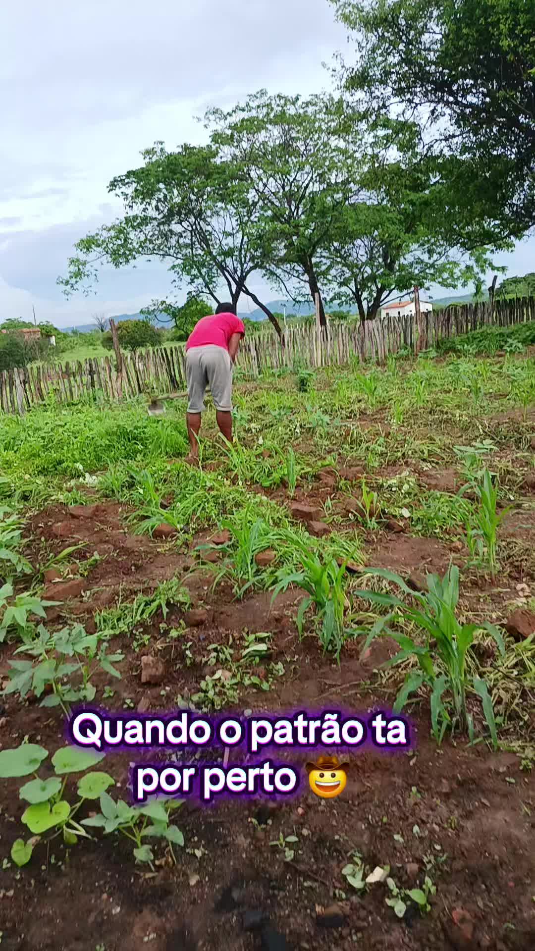 @lauana Cristina