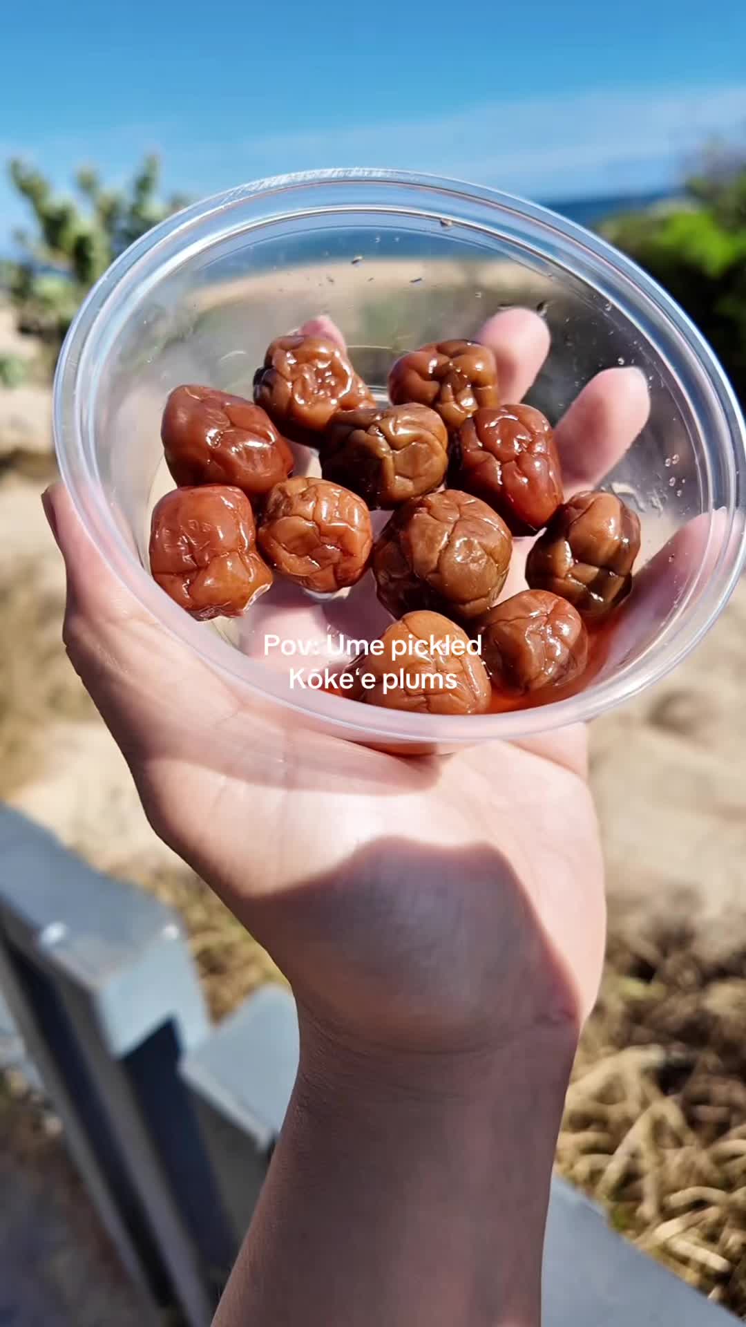@May | Onlyfoodiekauai ✨