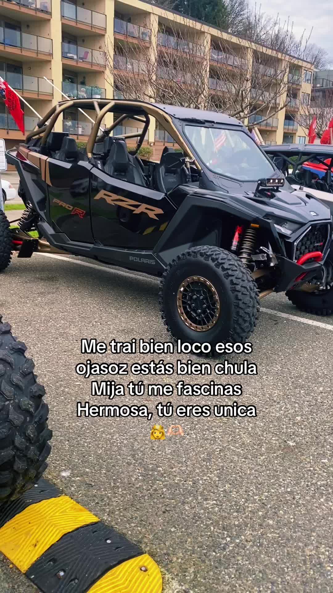 @luisgonzalez1502