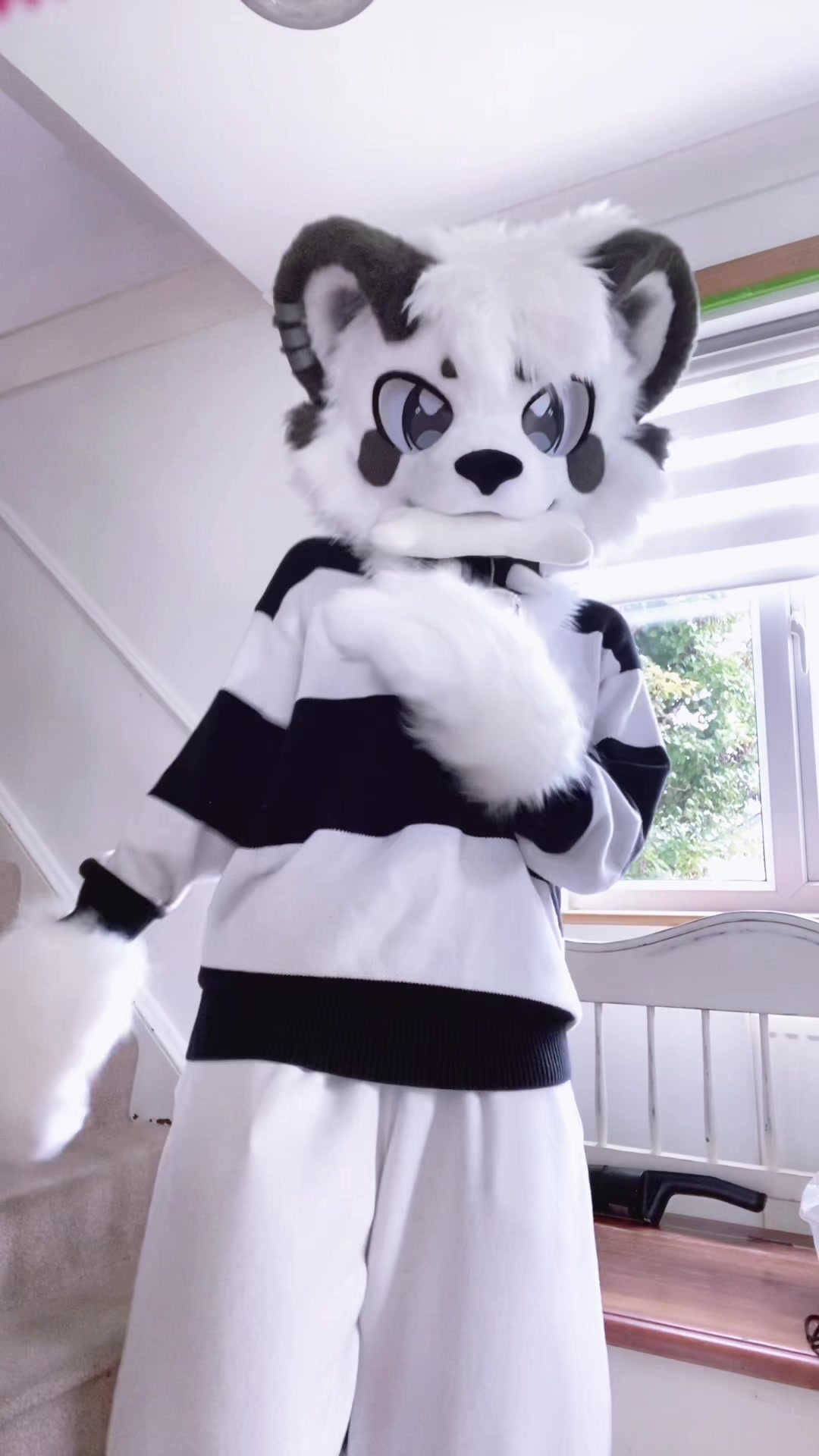 @🎬Lykoi🐾