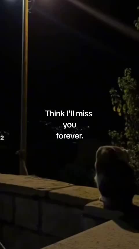 @Kami 🤍🦋