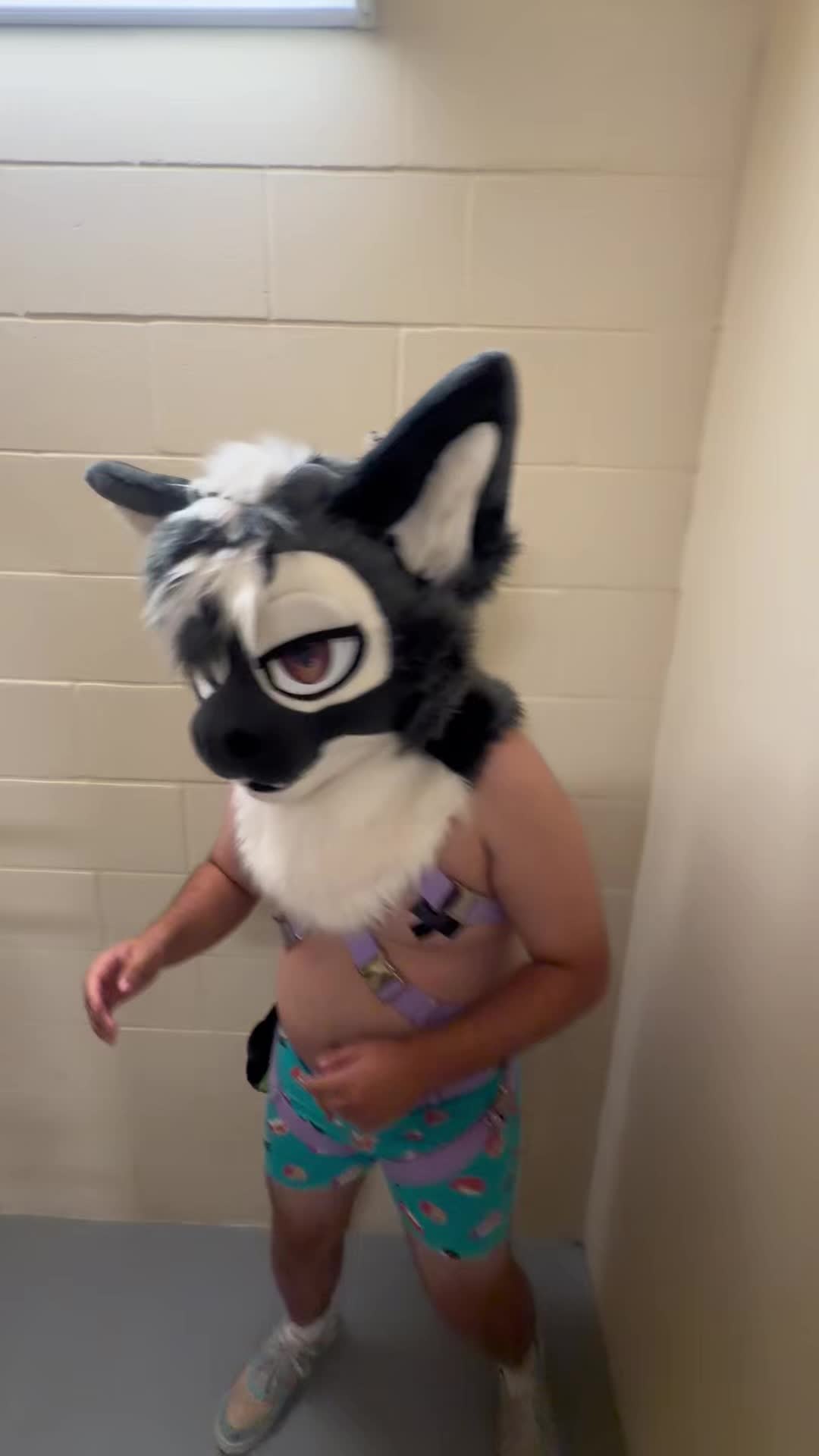 @Denver_Da_Proto