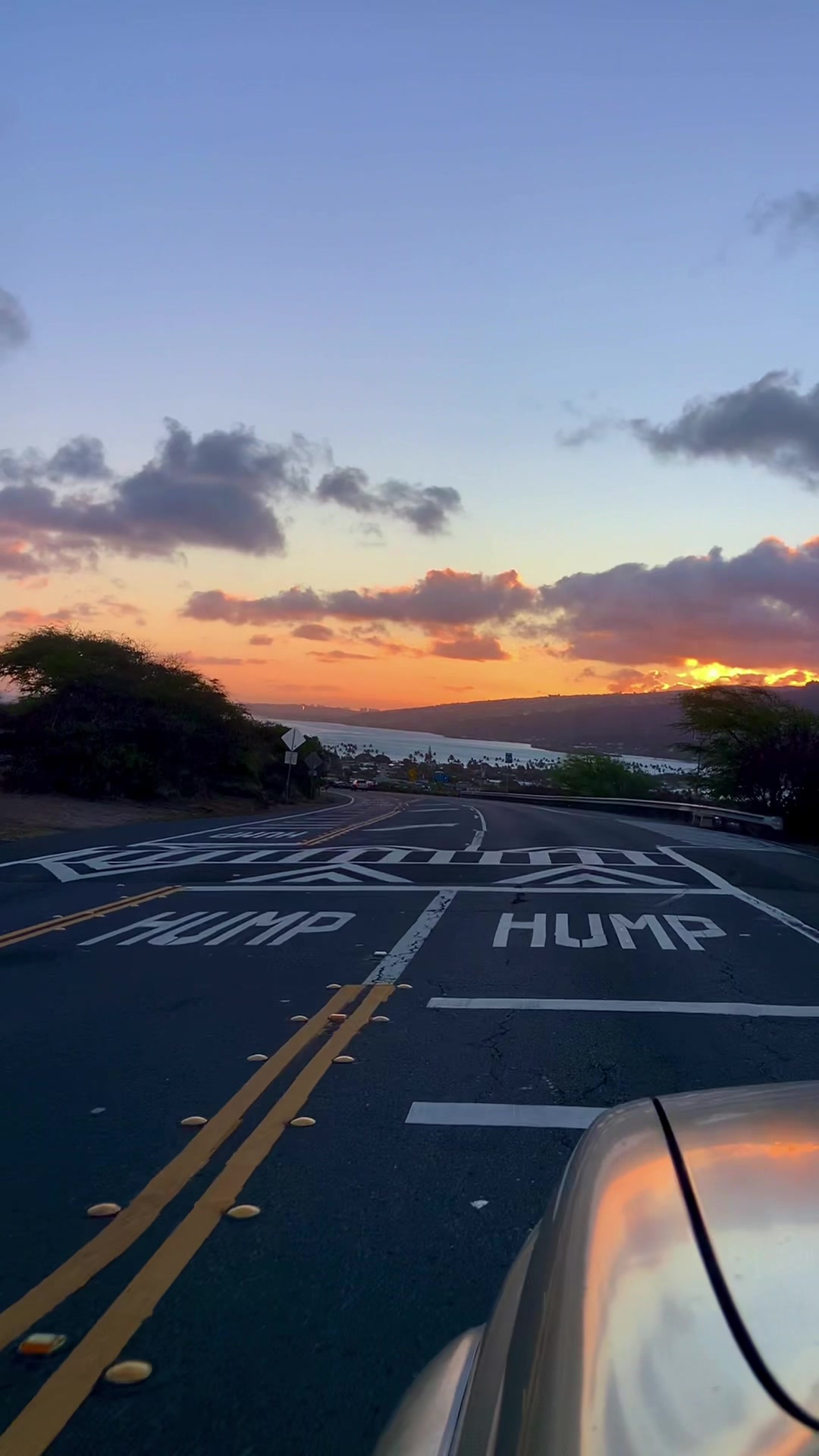 @Aaron🌴808