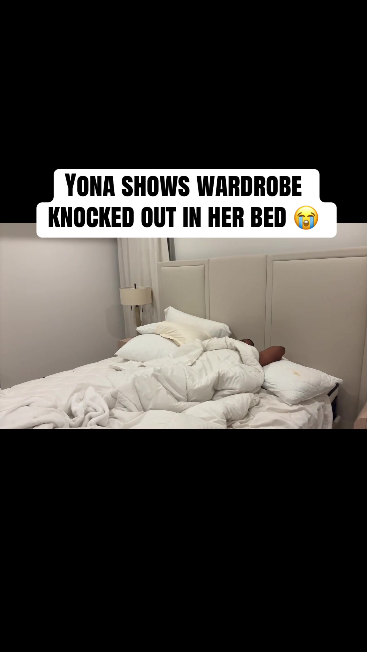 @laiclippedthat