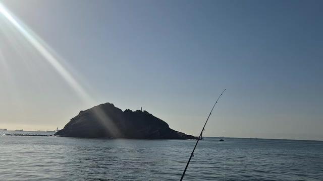 @도달류선생 DodalRyu 🎣