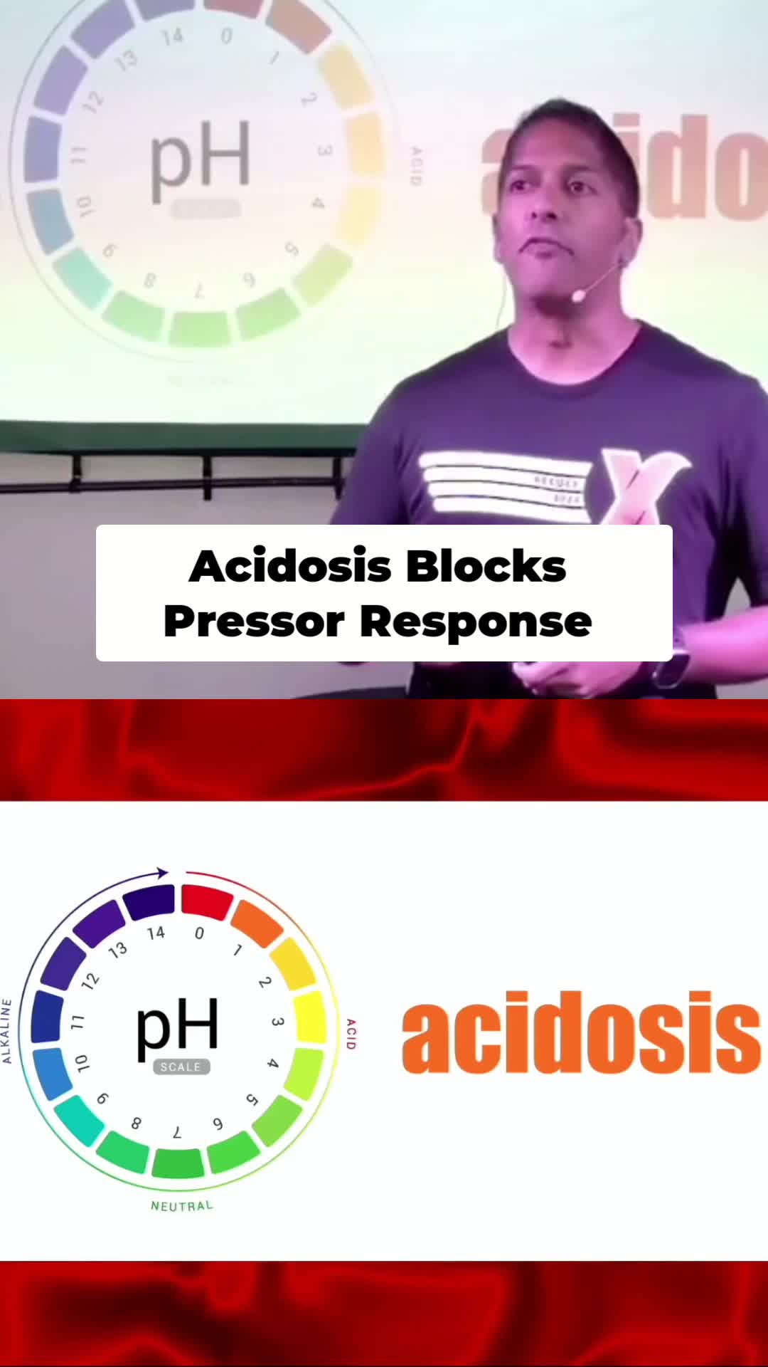 @The Crit Doc of Tiktok
