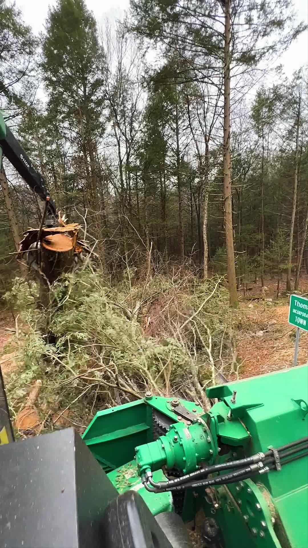@DistinctiveTreeCare