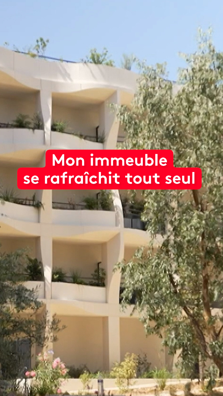@le20hfrancetelevisions