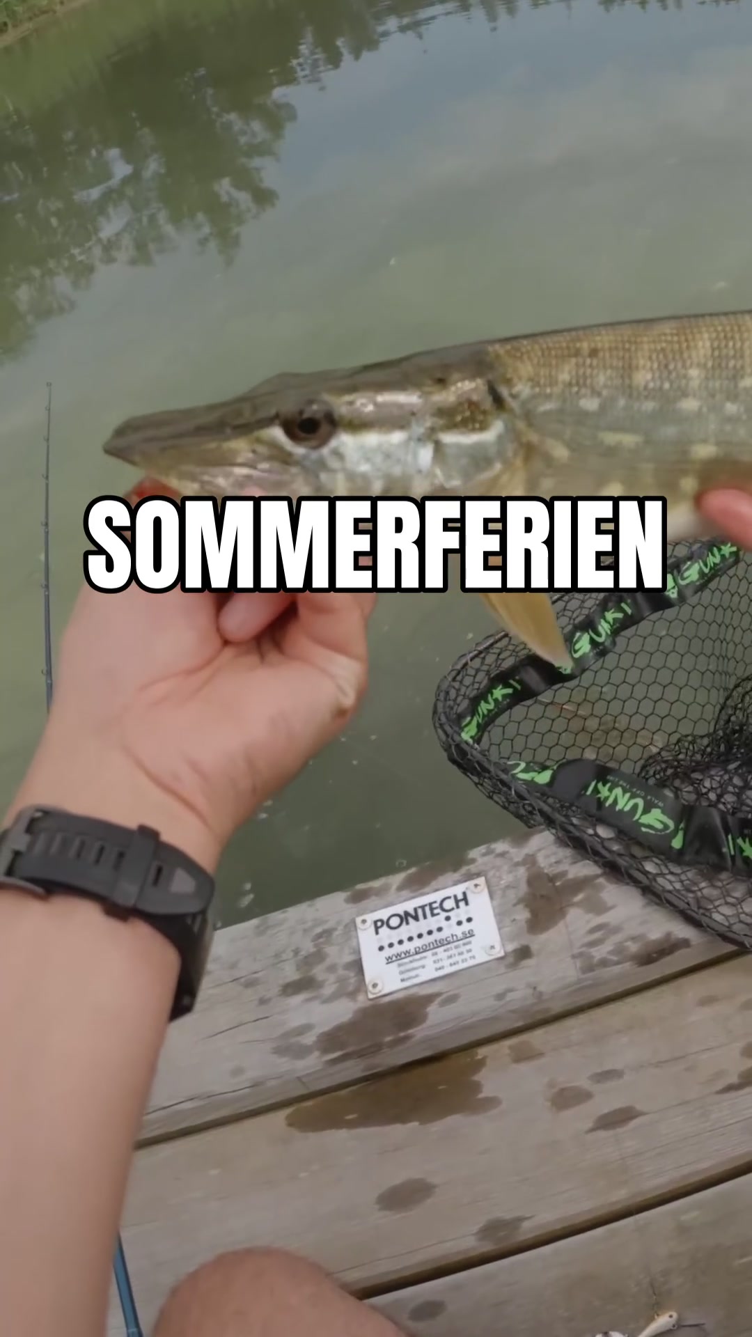@Fischbulette