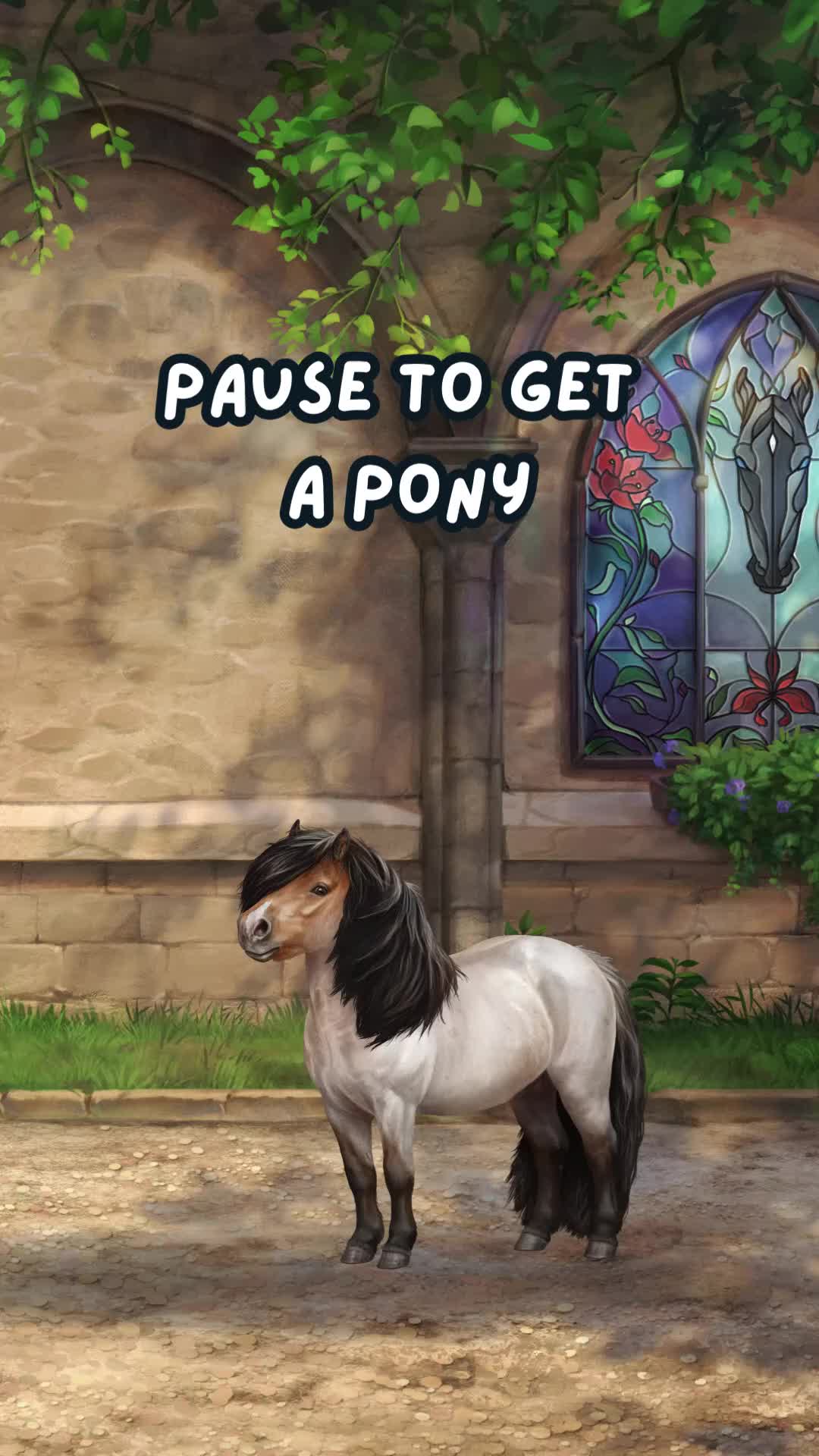 @Horse Reality