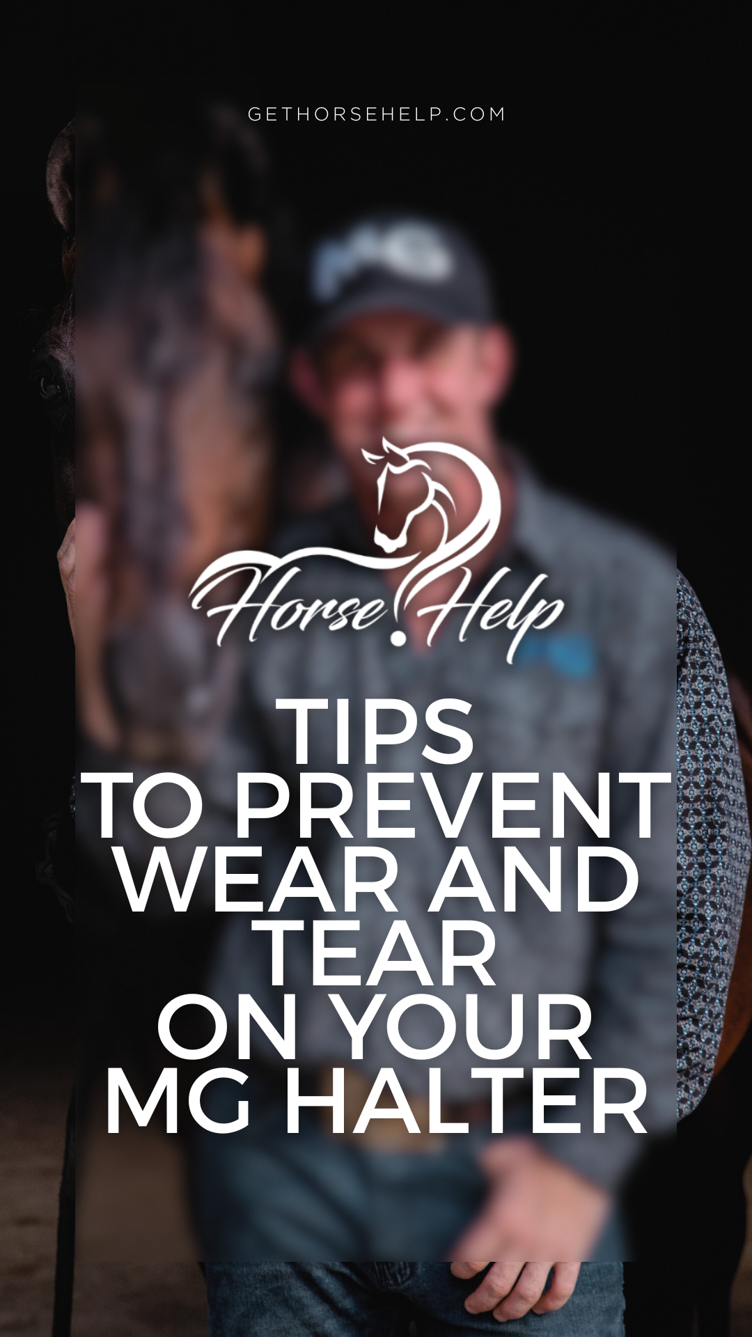 @Horse Help