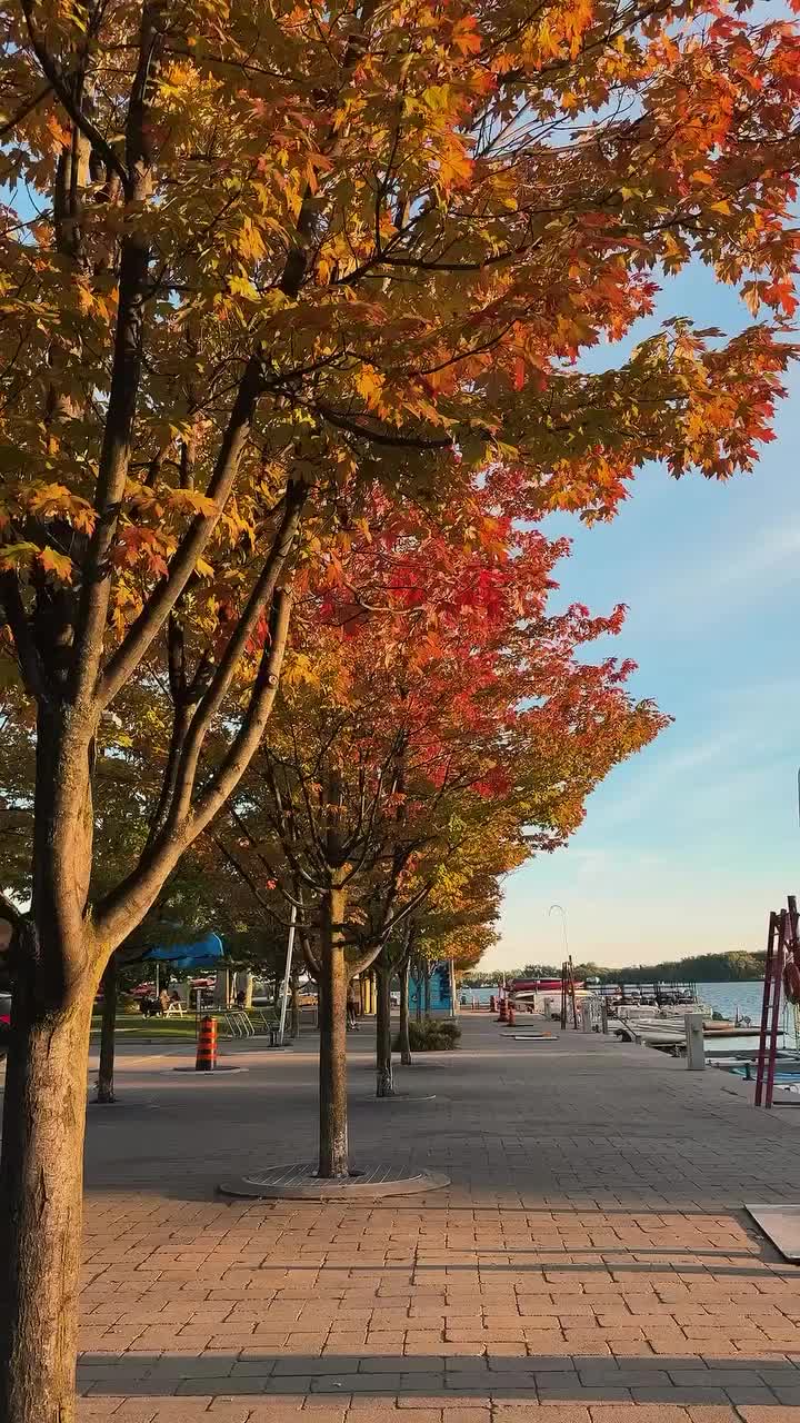 @Destination Toronto
