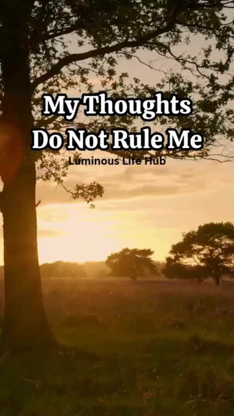 @Luminous Life Hub