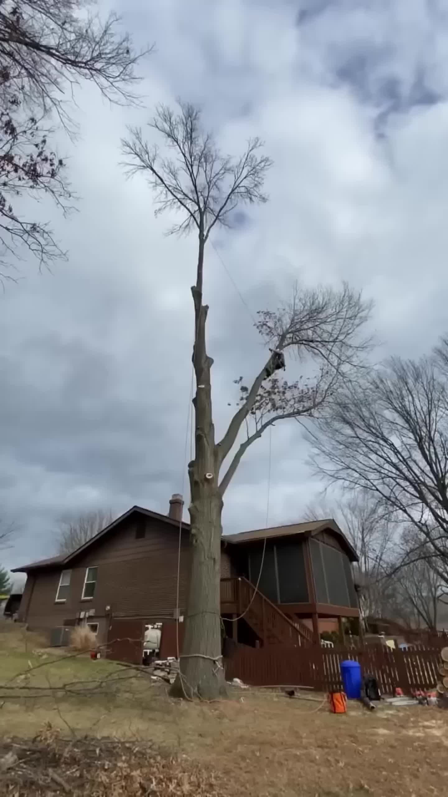@Arborist Marketing Pros