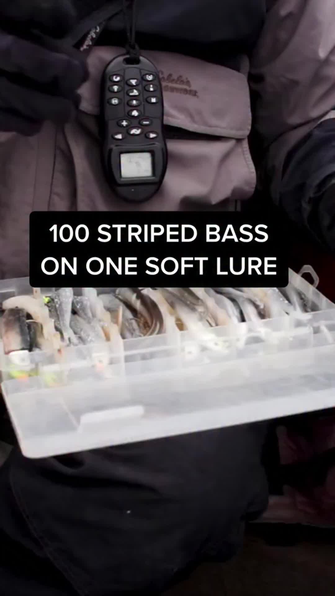 @Lunkerville