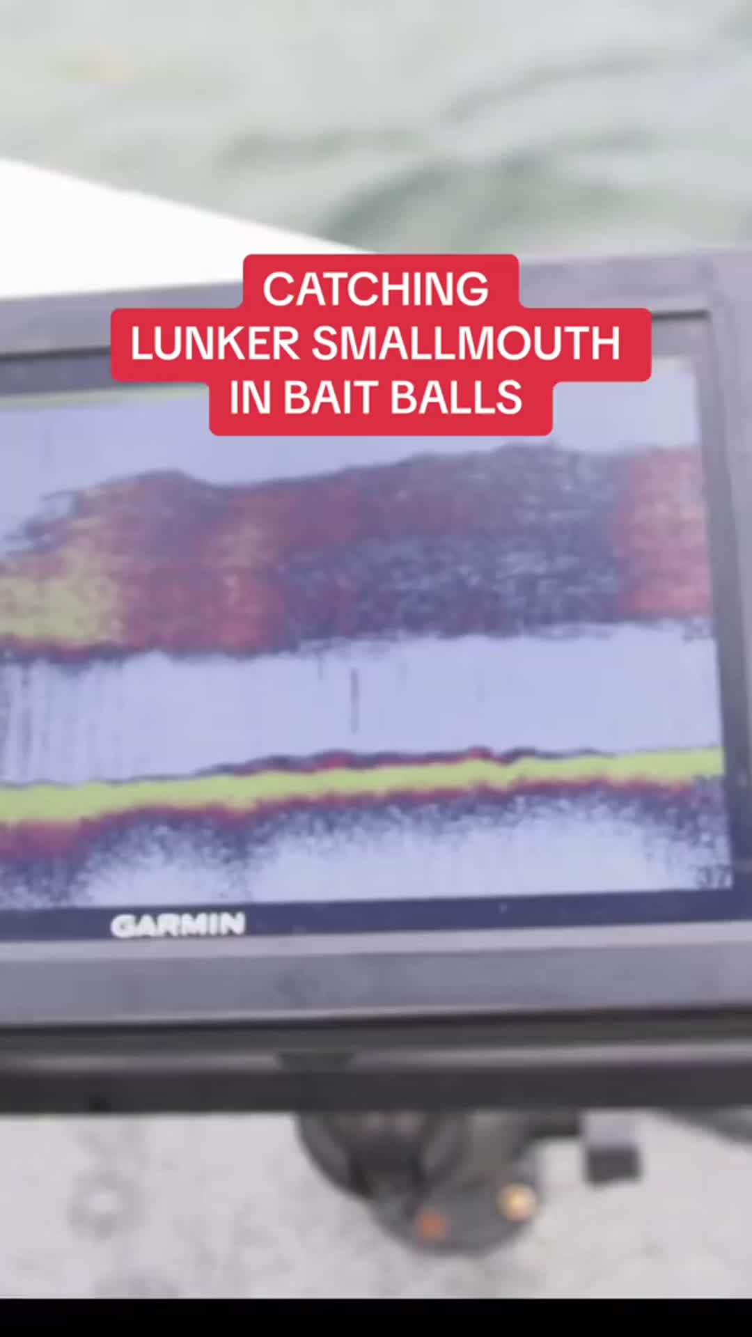 @Lunkerville
