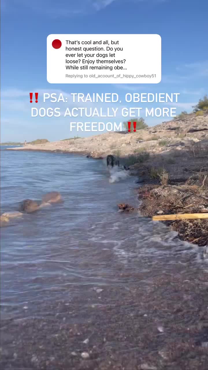 @Marissa | K9 Fitness Coach 🐾