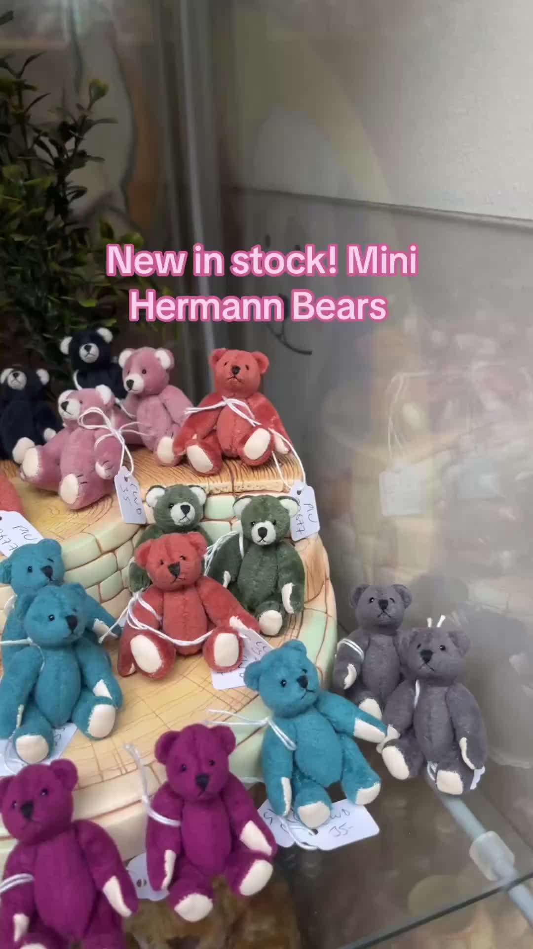 @World of Bears