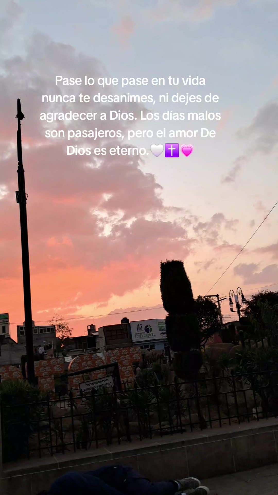 @️Celia 🎀🍓