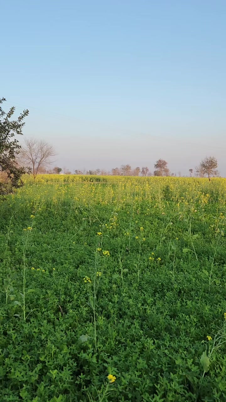@@Ahsan.gujjar