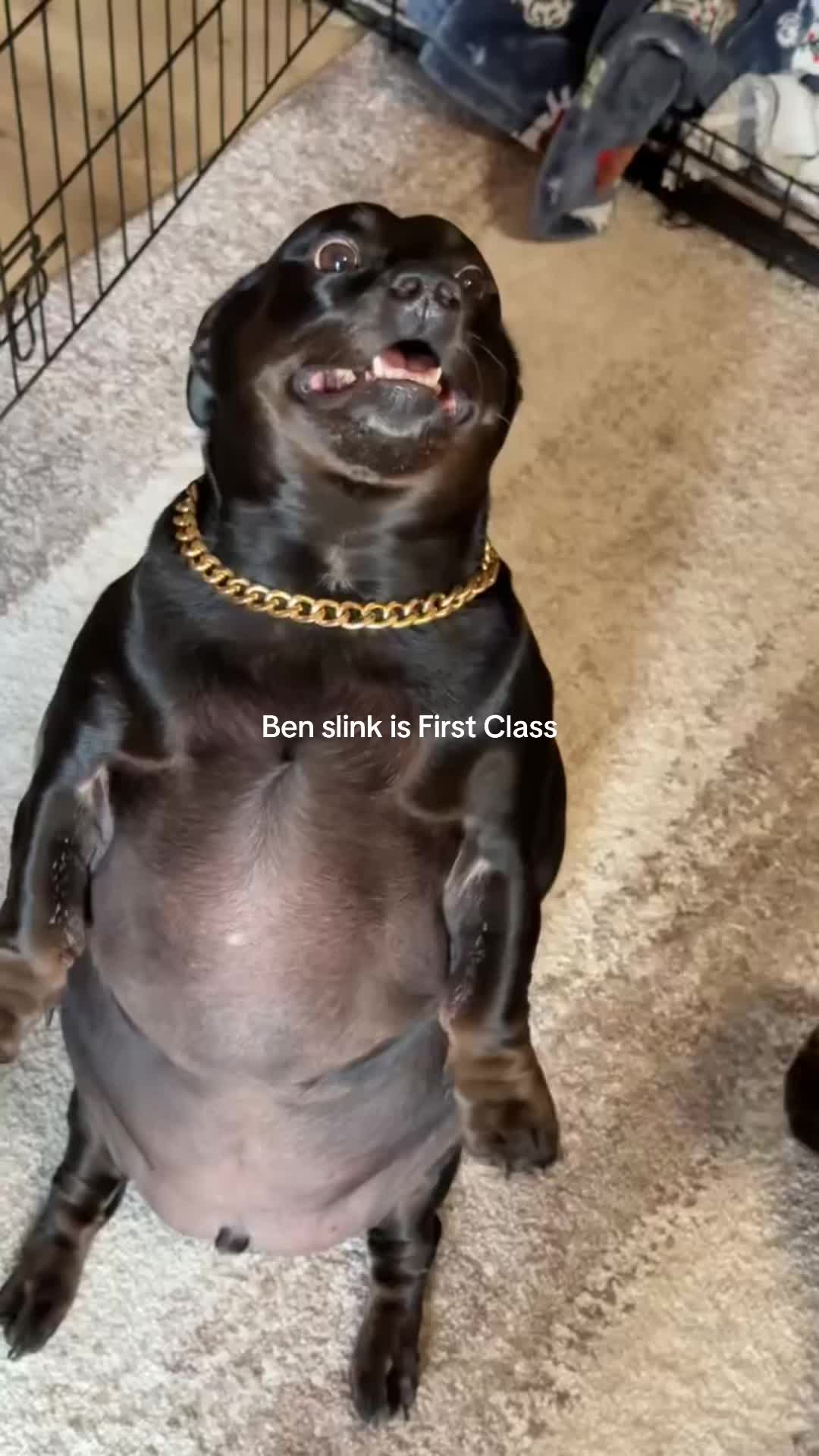 @BenSlinkdawg