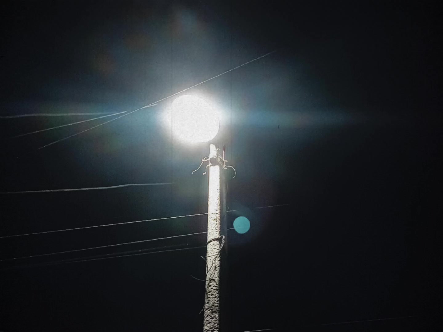 @╰‿╯𝙳𝙾𝚁𝙰𝙴𝙼𝙾𝙽✎࿐