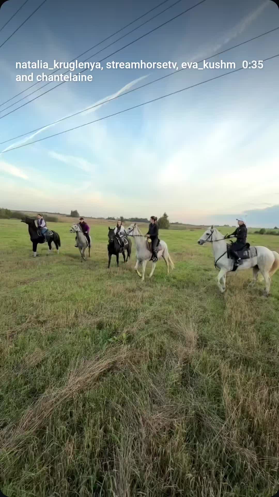 @streamhorse