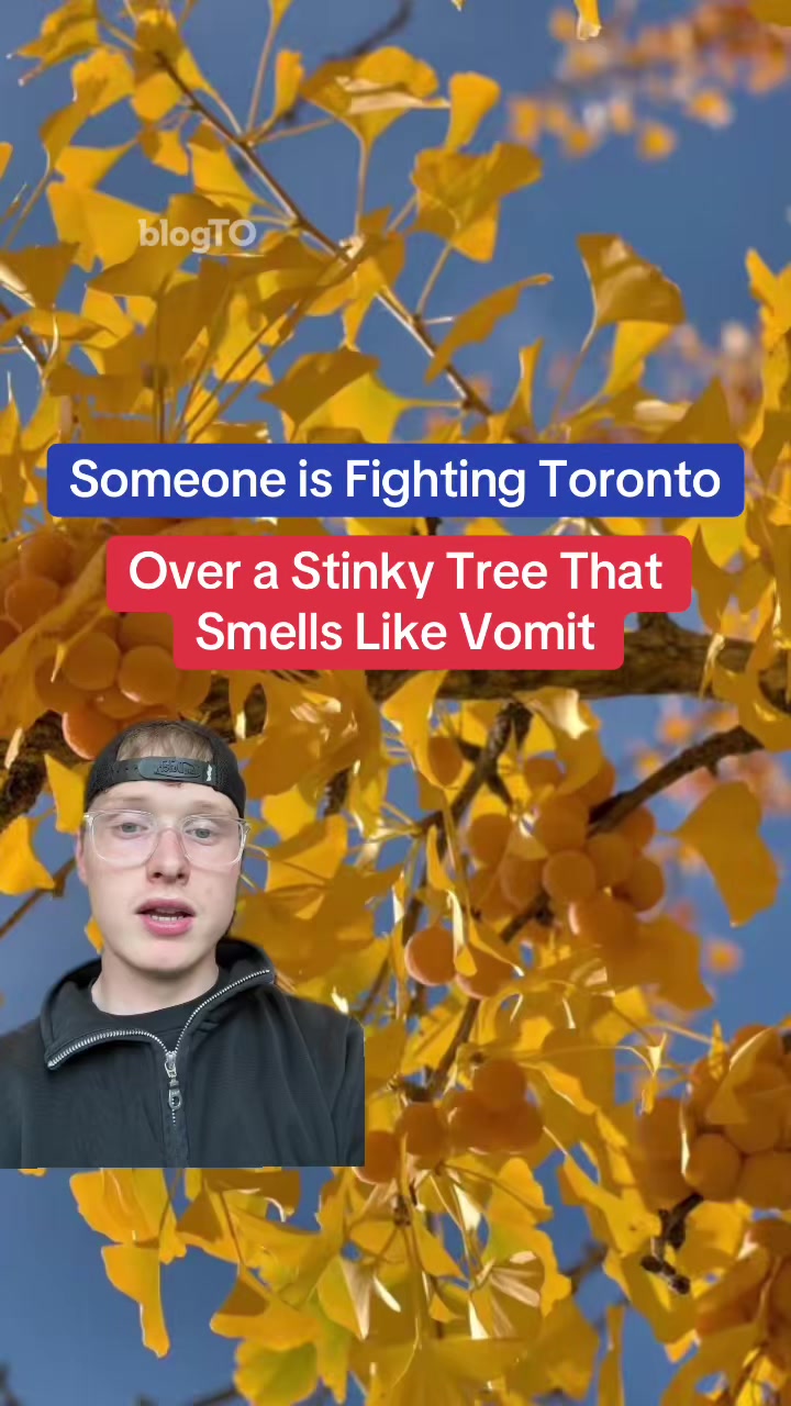@blogTO