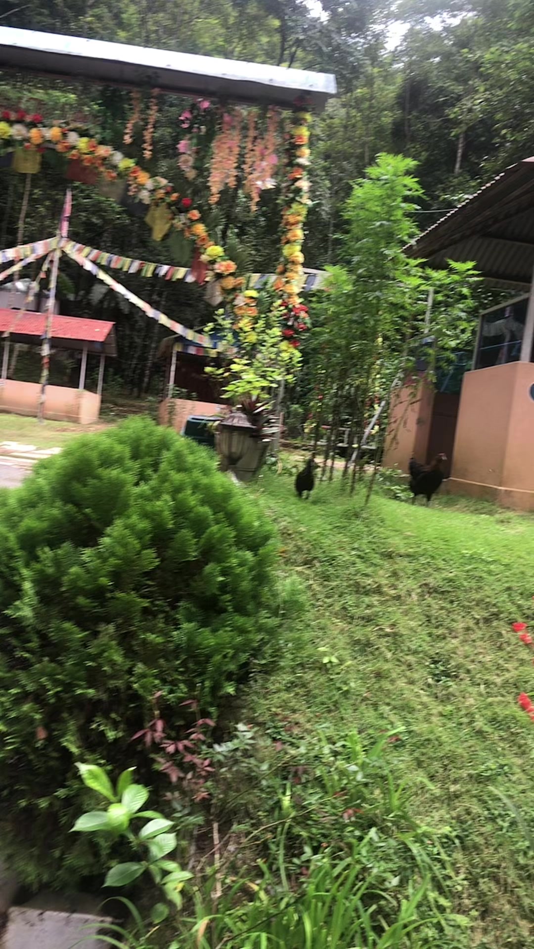 @जेनिशा मा raani❤️