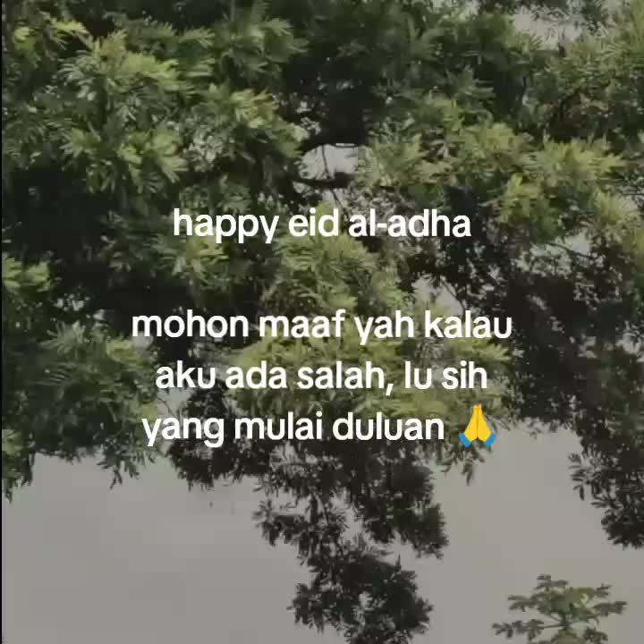 @goodvibez0