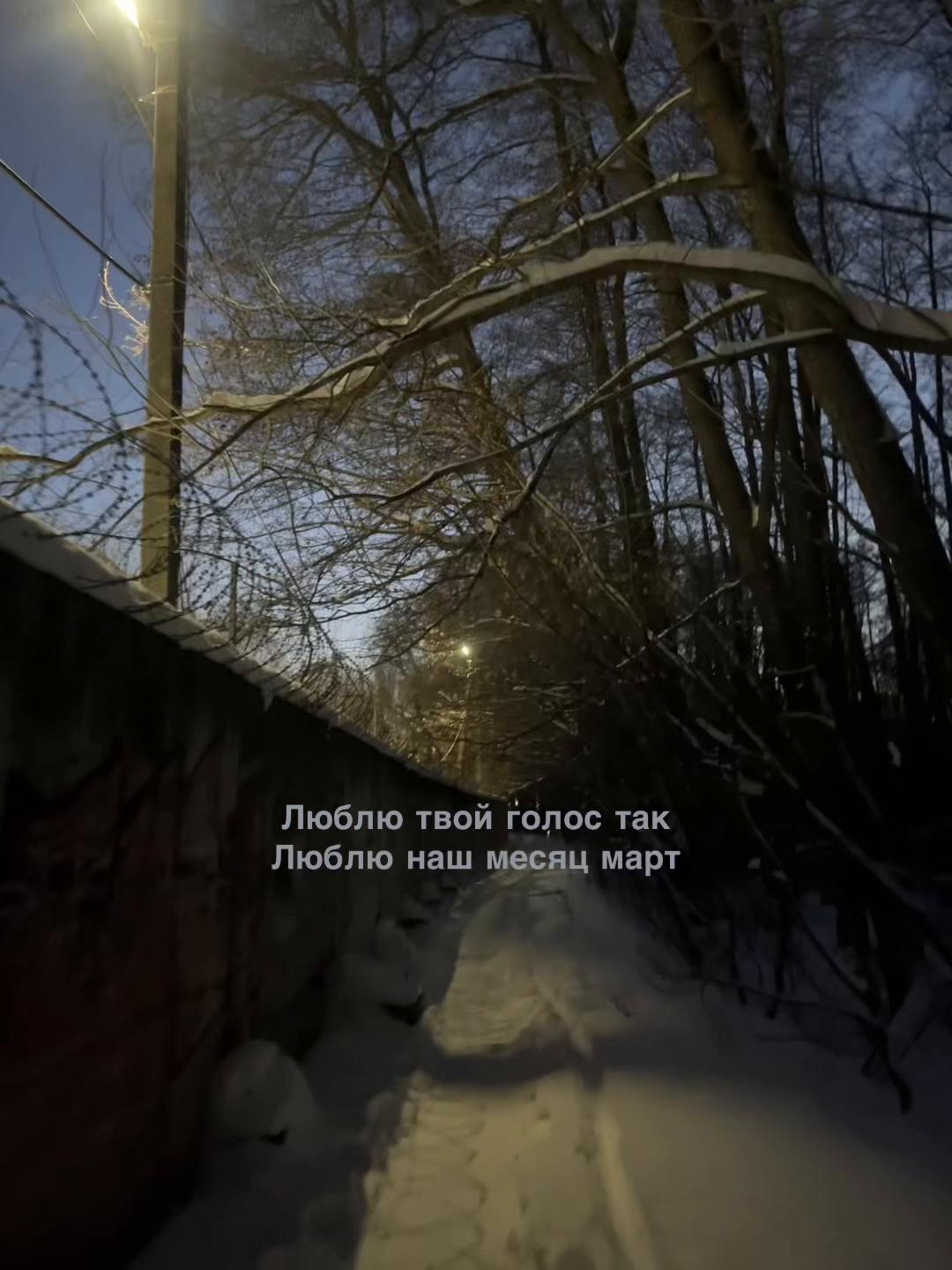 @𖣂︎ Леонова