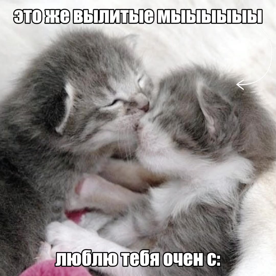 @мама дед инсайдов