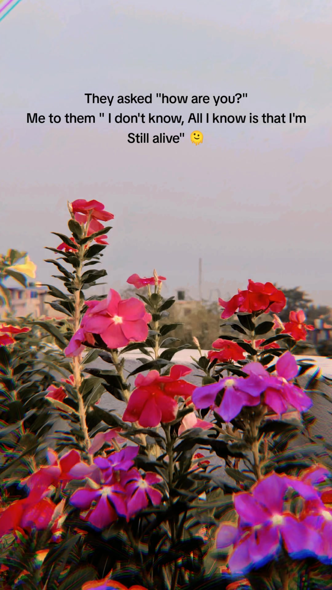 @Nitesh Mehta
