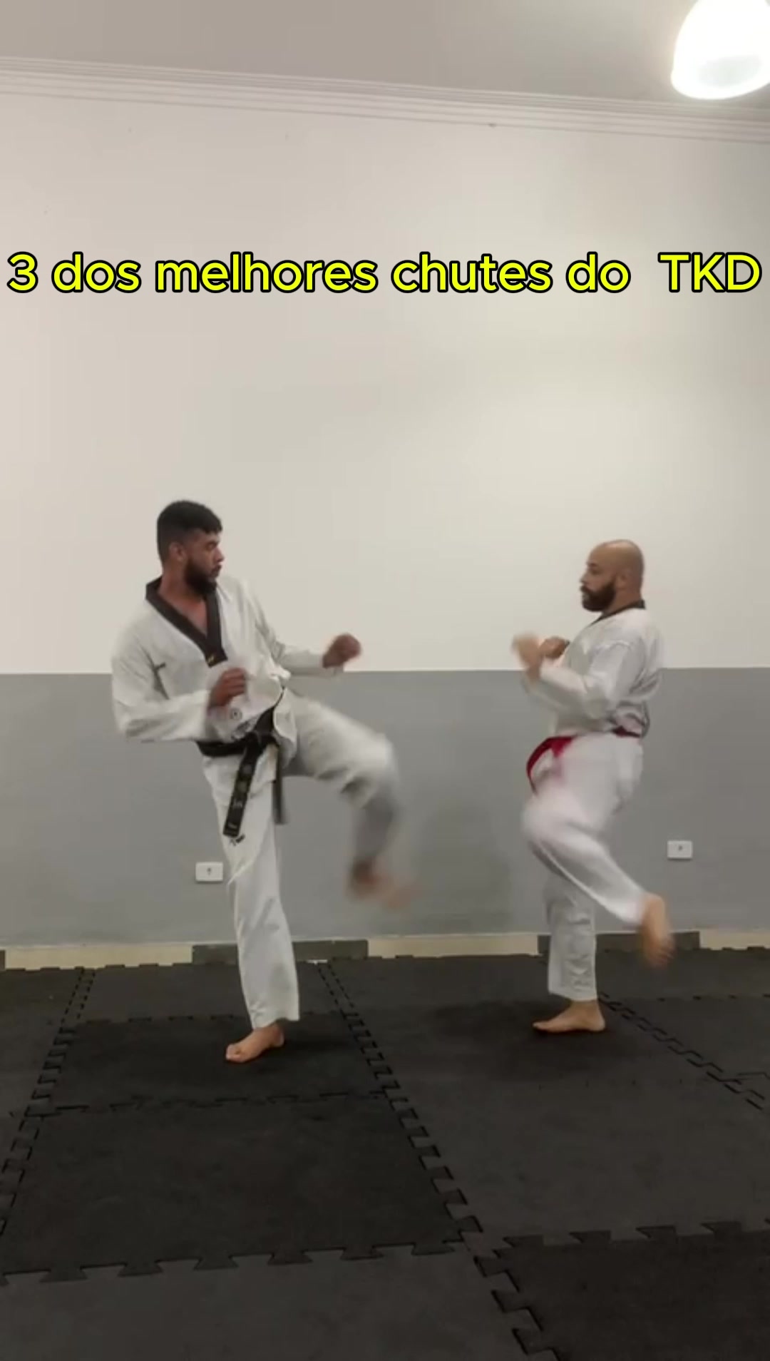 @Tavares TKD Fight