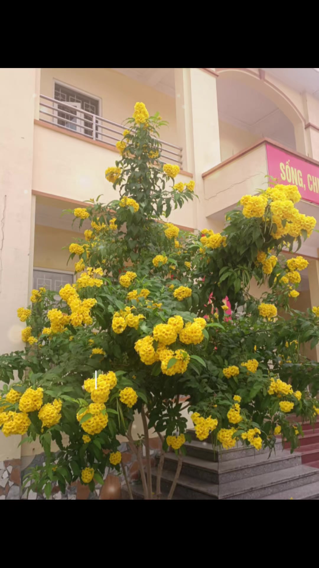@Chill trong miền k&yacute; ức