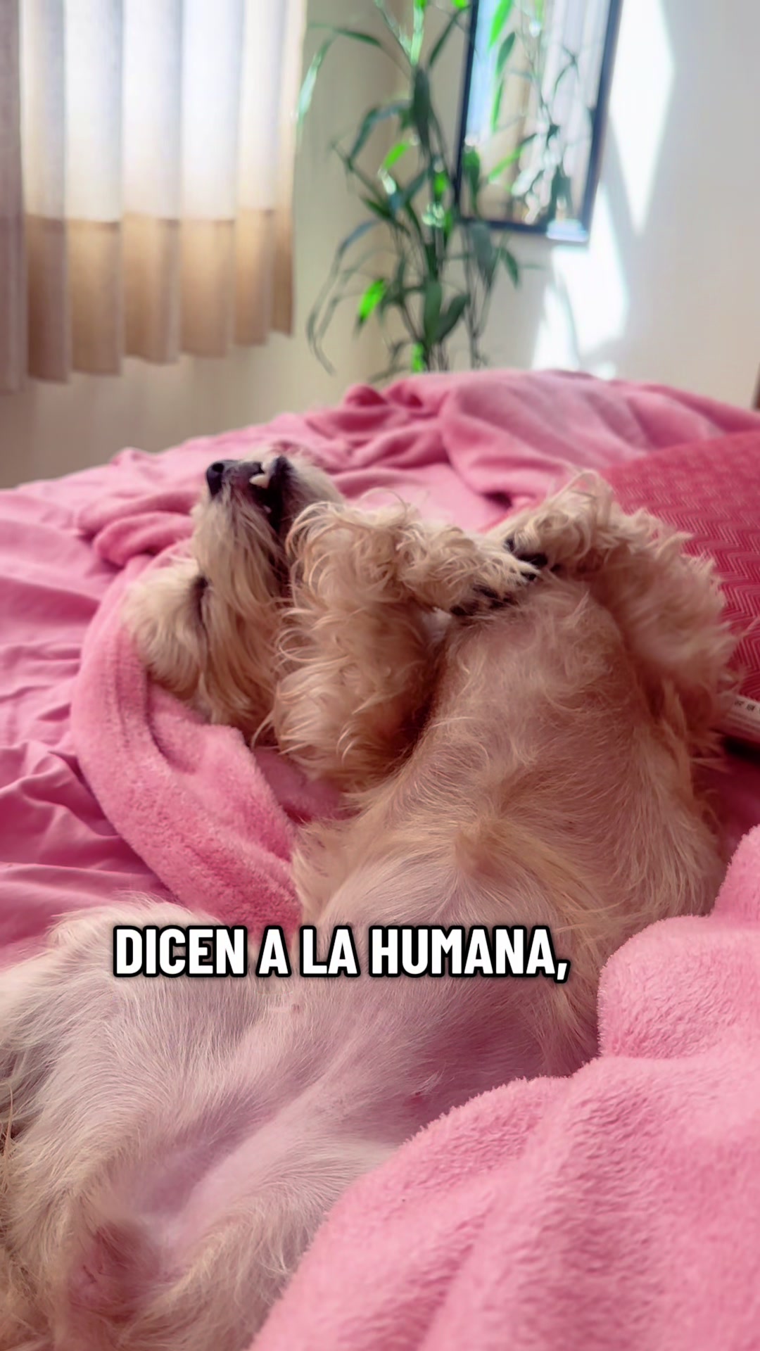 @katty