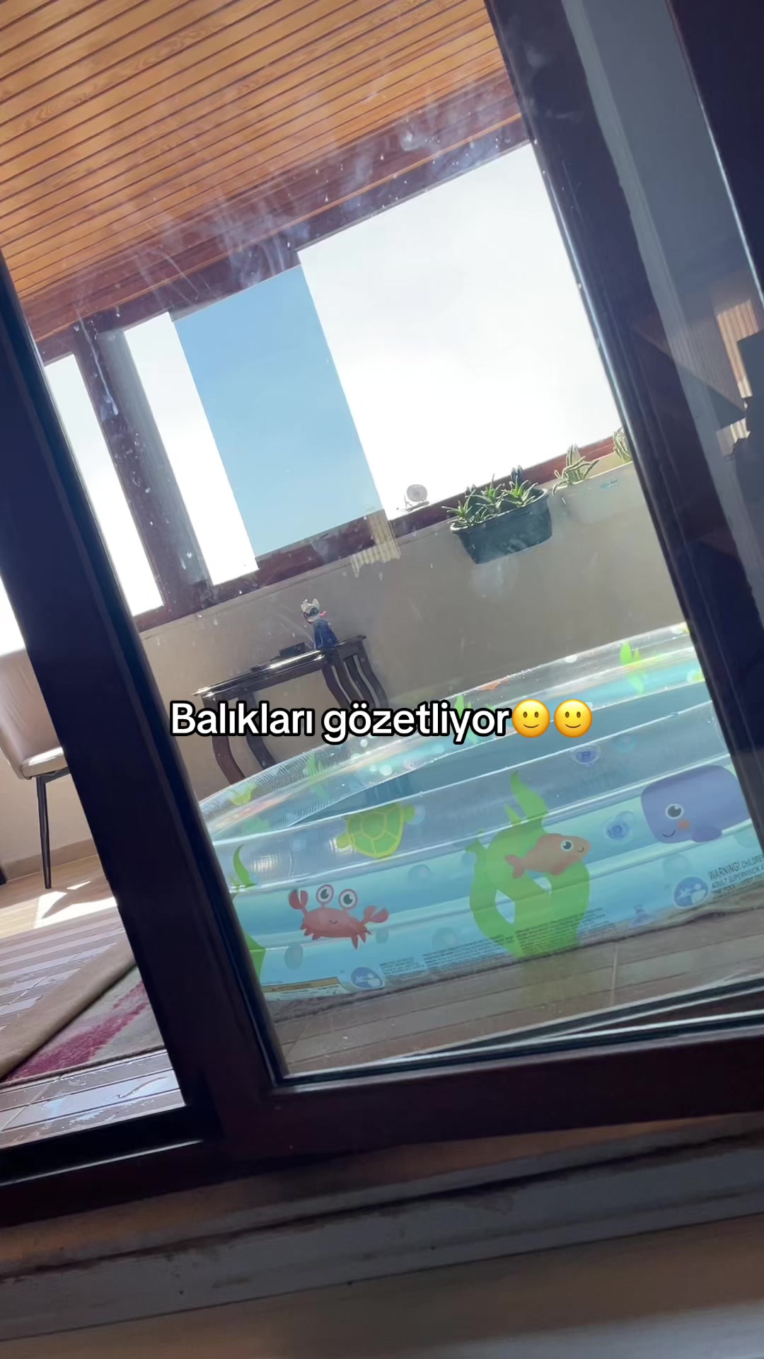 @𝐘𝐔𝐒𝐔𝐅 𝐊𝐎𝐑𝐊𝐌𝐀𝐙