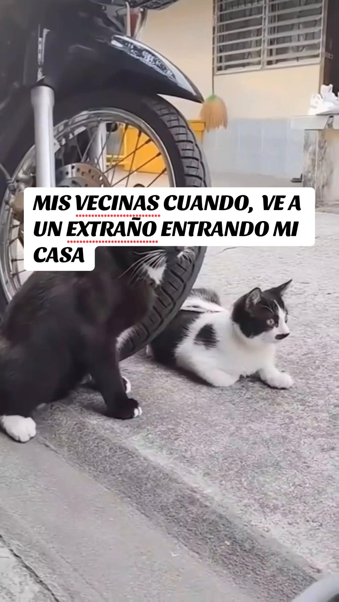 @Soraya Puglisi