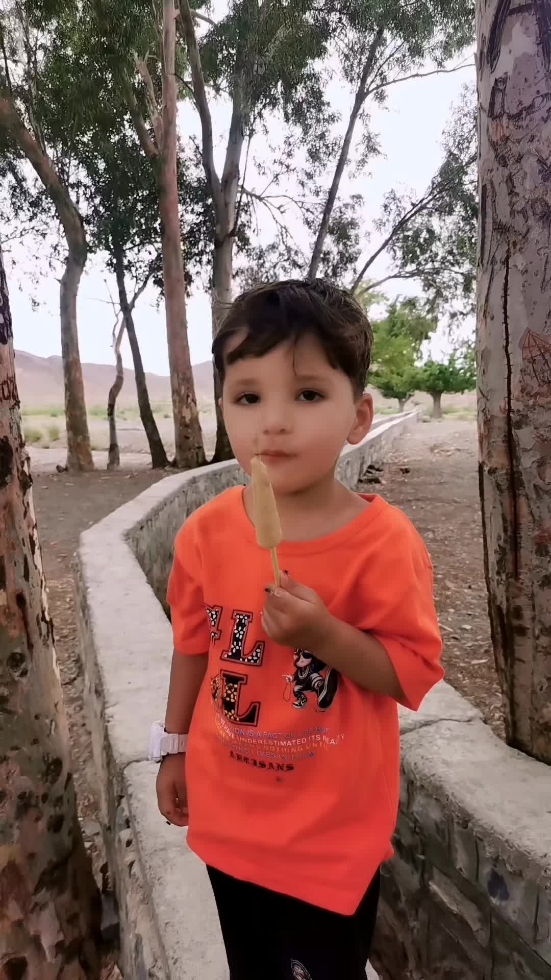 @Wali Yaar🧑&zwj;🦯🧑&zwj;🦯🧑&zwj;🦯