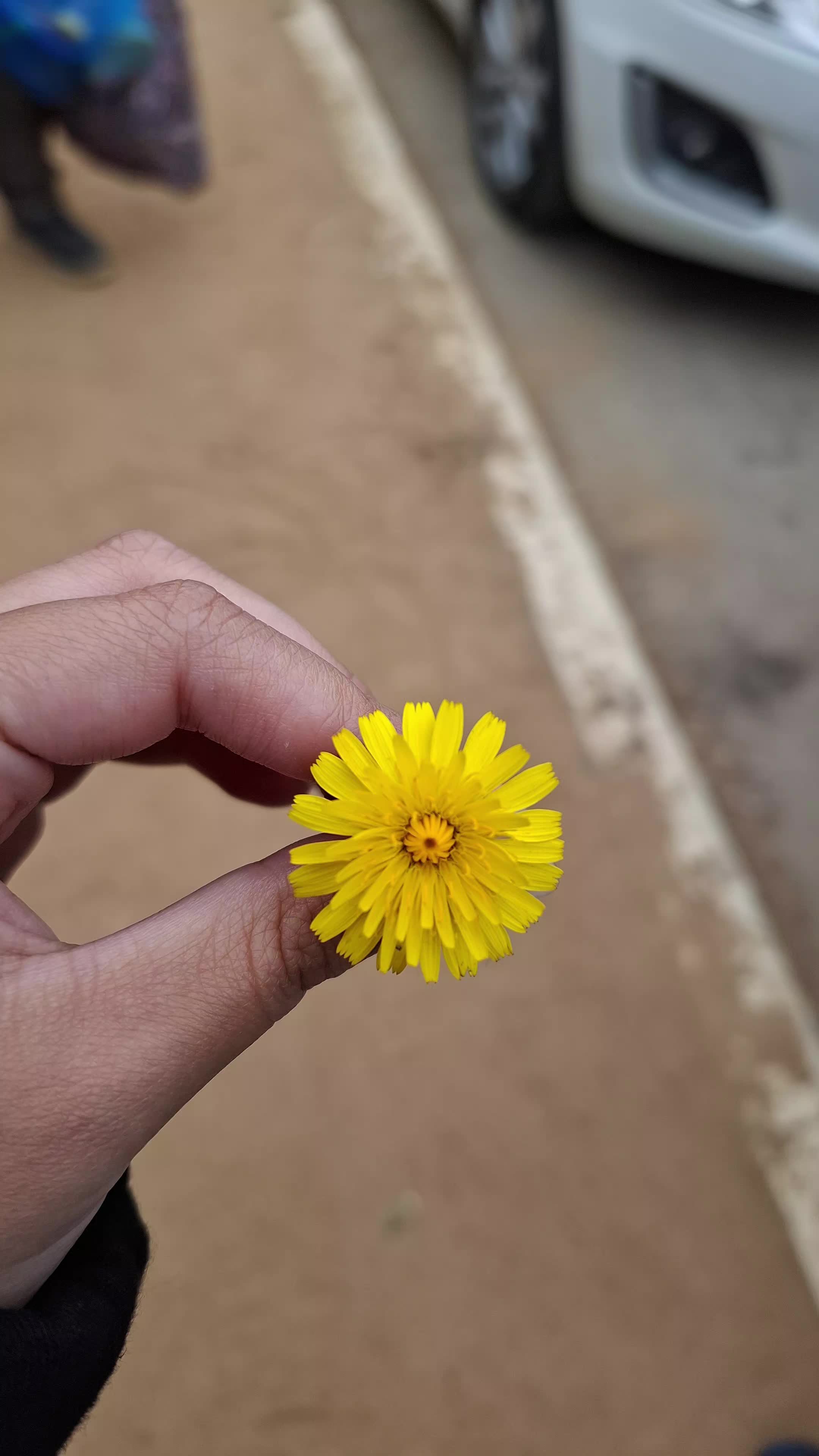 @Rɛɳɑtɑ Viʆcɦɛร 🖤💜