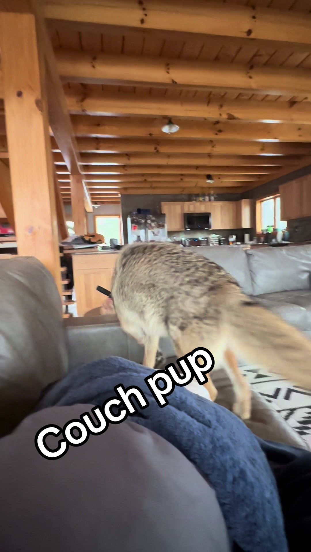 @ittybittyfarm1