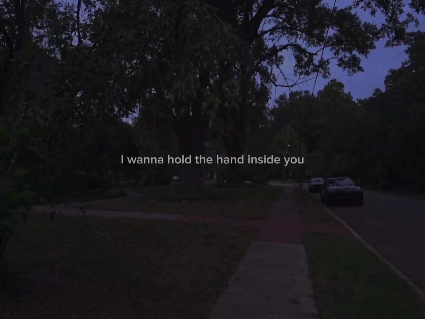 @𝑵𝒆𝒙𝒕 𝑻𝒓𝒂𝒄𝒌