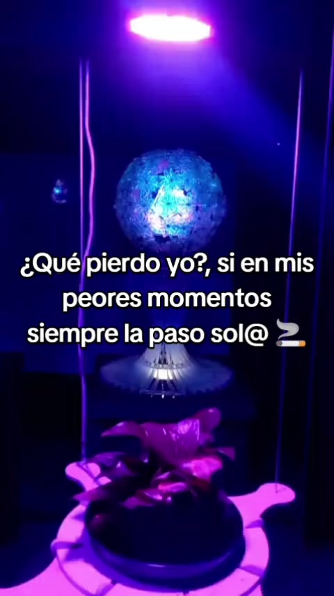@Jocelyn Sauria Rex 🐦🔥🦊🦖❤️