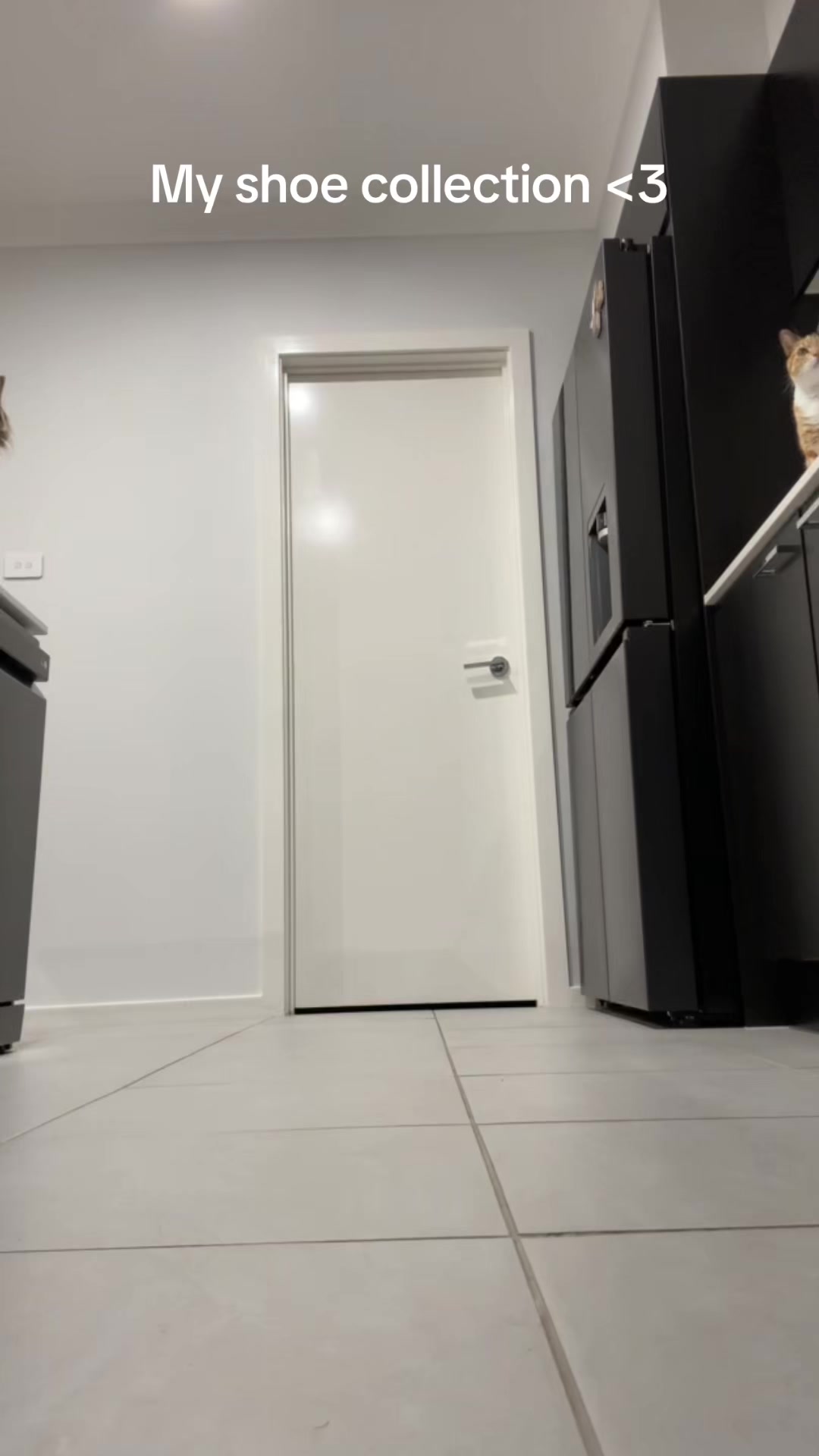 @🐈&zwj;⬛