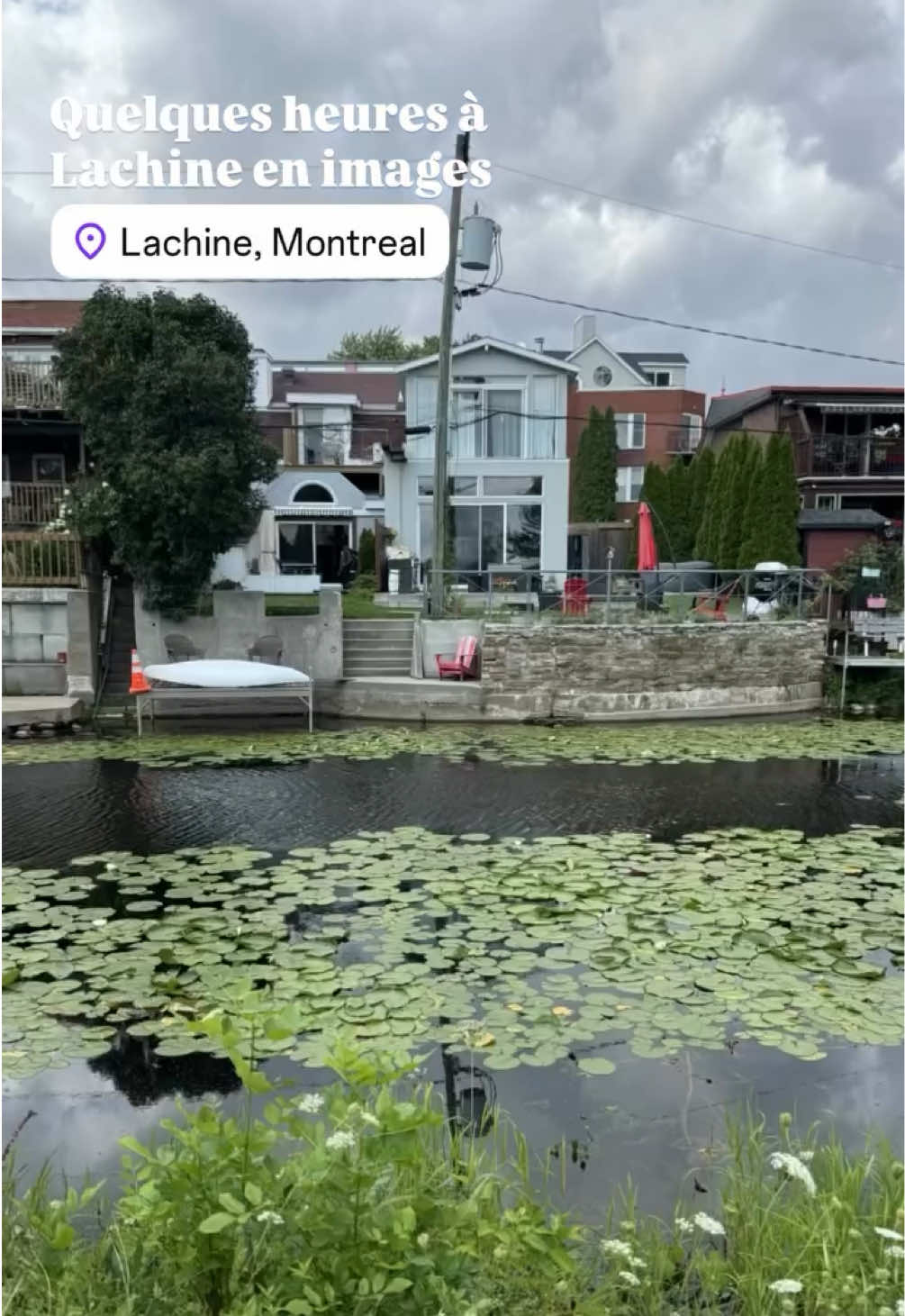 @smark.mtl 🇨🇦