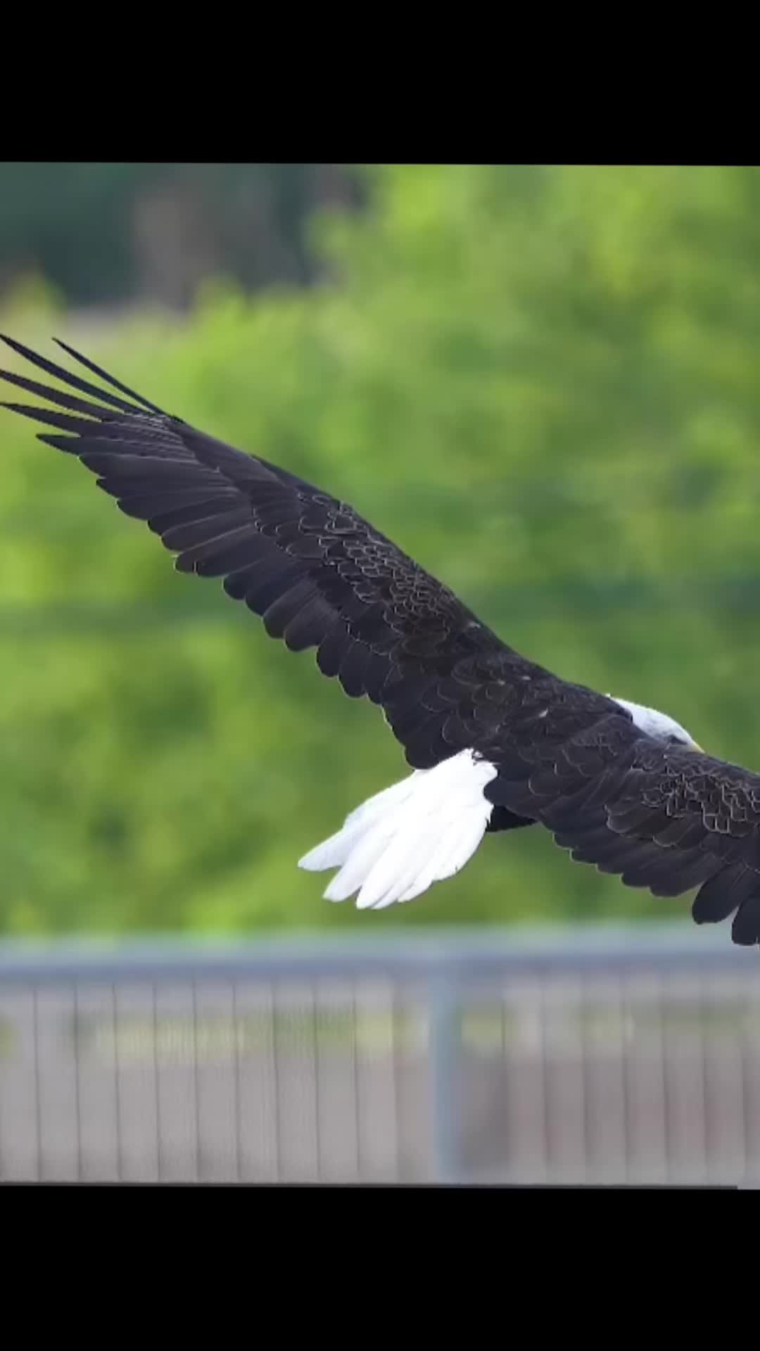 @🦅ZA_KO🦅