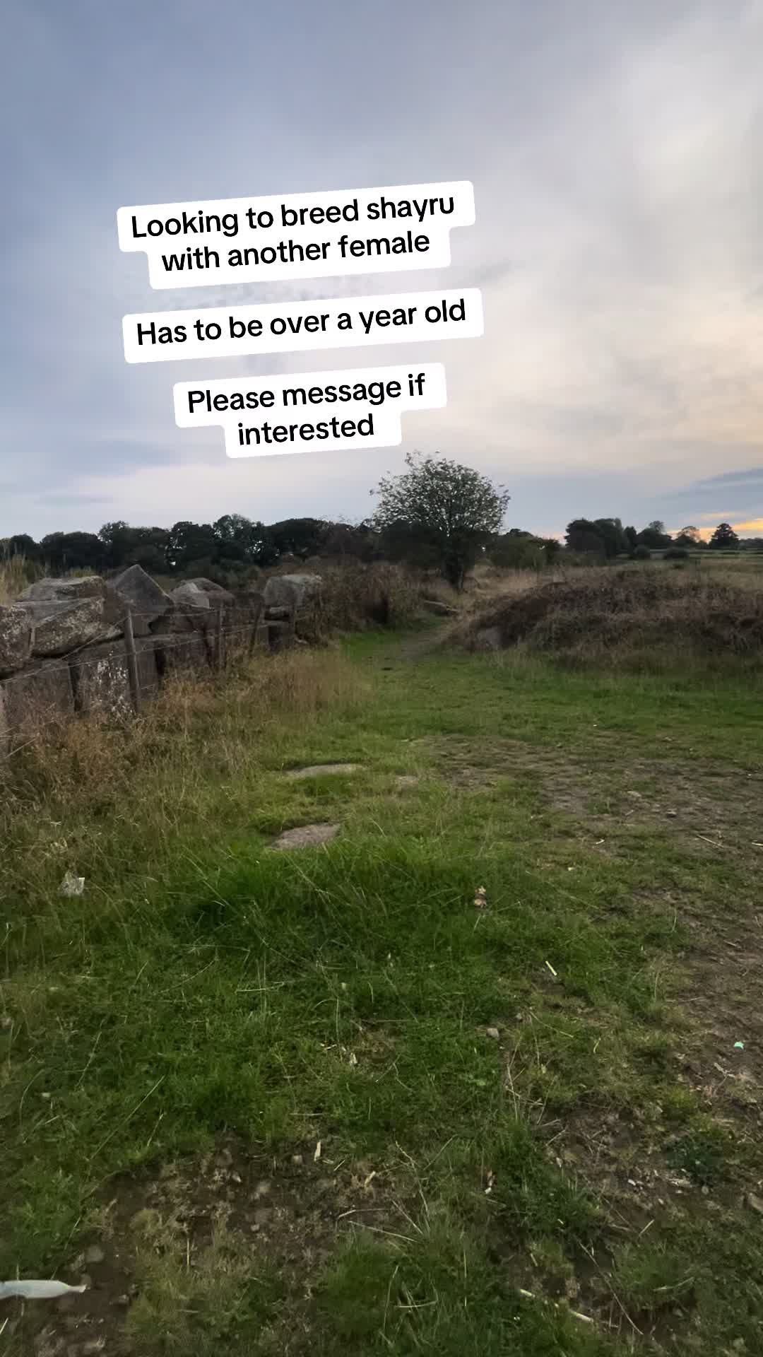 @shayru🇵🇰