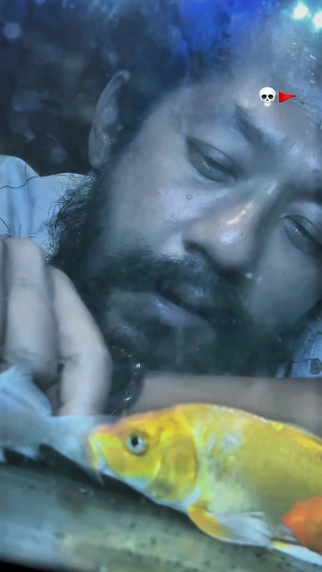 @sishirthapaofficial