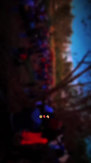 @𝐒𝐜𝐚𝐫𝐥𝐞𝐭𝐭 ִֶָ☾💚🤠