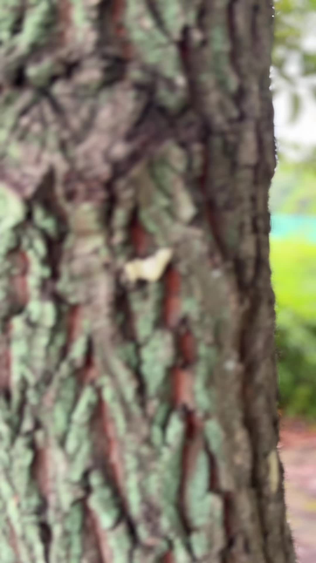 @anisha🦋❤️🩹
